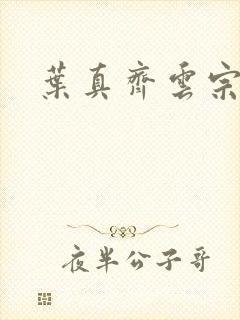 叶真齐云宗免费封面