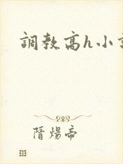 调教高h小说封面