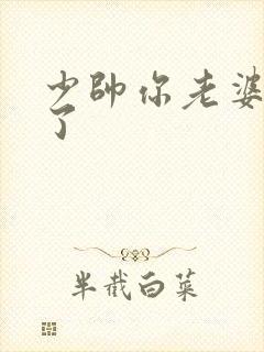 少帅你老婆又跑了