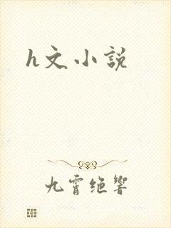 h文小说封面