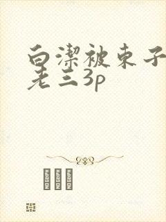 白洁被东子老二老三3p封面
