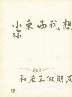 小东西我想弄坏你