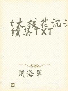 t大校花沉浮录续集TXT