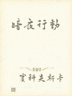 暗夜行动