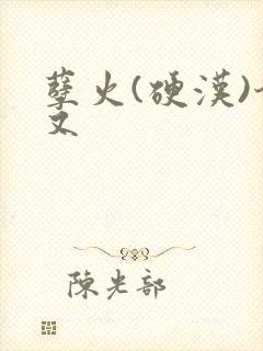 孽火(硬汉)今又