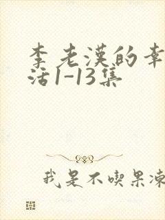 李老汉的幸福生活1-13集