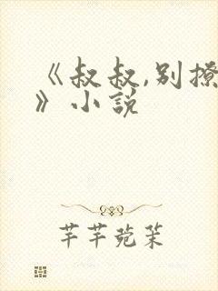 《叔叔,别撩我》小说