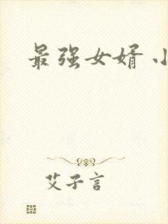 最强女婿 小说封面