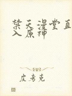 禁天漫堂直接进入原神