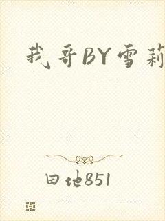 我哥BY雪莉