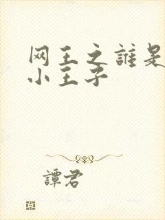 网王之谁是我的小王子