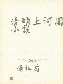 清明上河图密码小说封面