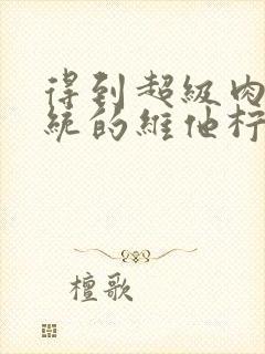 得到超级肉禽系统的维他柠檬茶