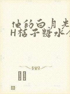他的白月光HVH桔子糖水全文