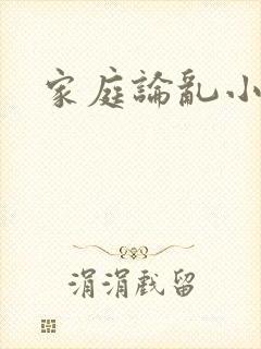 家庭论乱小说封面