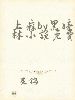 上瘾by黑暗森林小说免费