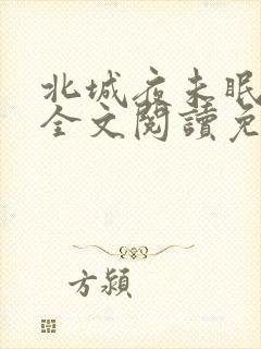 北城夜未眠小说全文阅读免费封面
