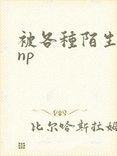 被各种陌生人 np