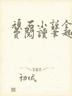 顽石小说全文免费阅读笔趣阁