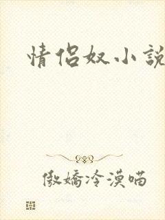 情侣奴小说封面