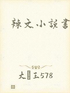 辣文小说书包网