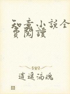 知意小说全文免费阅读封面