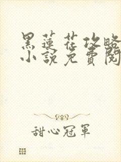 黑莲花攻略手册小说免费阅读全文