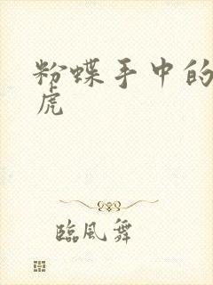 粉蝶手中的纸老虎