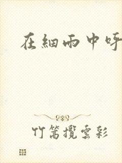 在细雨中呼喊