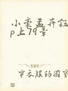 小豪孟卉钰慧三p上79章封面