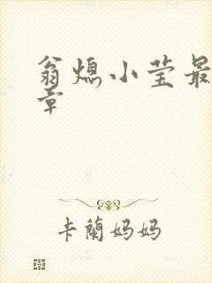 翁熄小莹最新节章封面