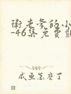 卫老爹的小船1-46集免费观看