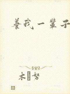 养我一辈子封面