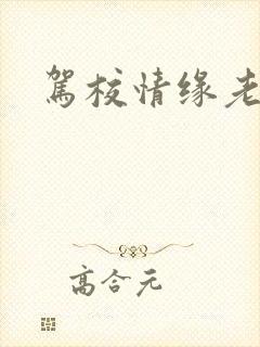 驾校情缘老赵封面