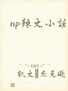 np辣文小说