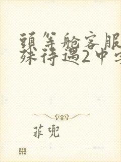 头等舱客服的特殊待遇2中字封面