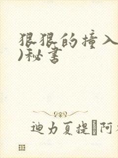 狠狠的撞入(h)秘书