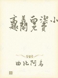 高义白洁小说笔趣阁免费封面