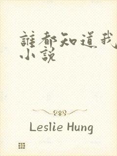 谁都知道我爱你小说