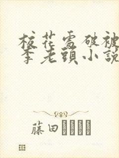 校花处破被灌满李老头小说