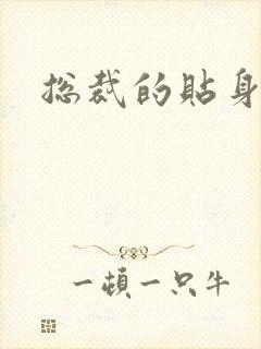 总裁的贴身女佣