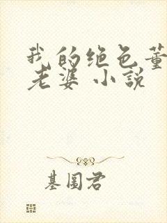 我的绝色董事长老婆 小说