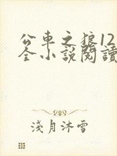 公车之狼12集全小说阅读
