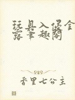 玩具入侵金银花露笔趣阁封面