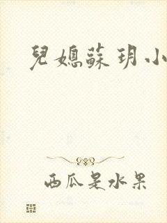 儿媳苏玥小说封面