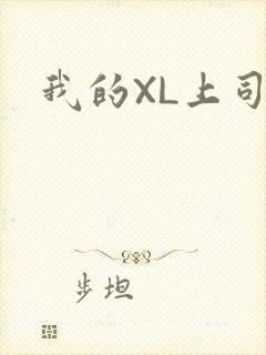 我的XL上司