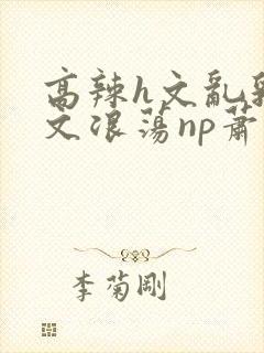 高辣h文乱乳h文浪荡np萧太后封面