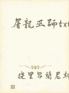 屠龙巫师txt