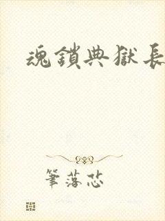 魂锁典狱长封面