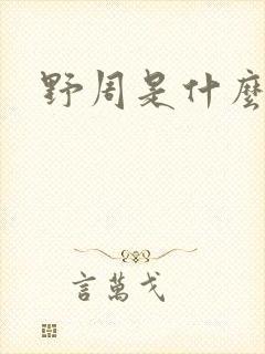 野周是什么意思